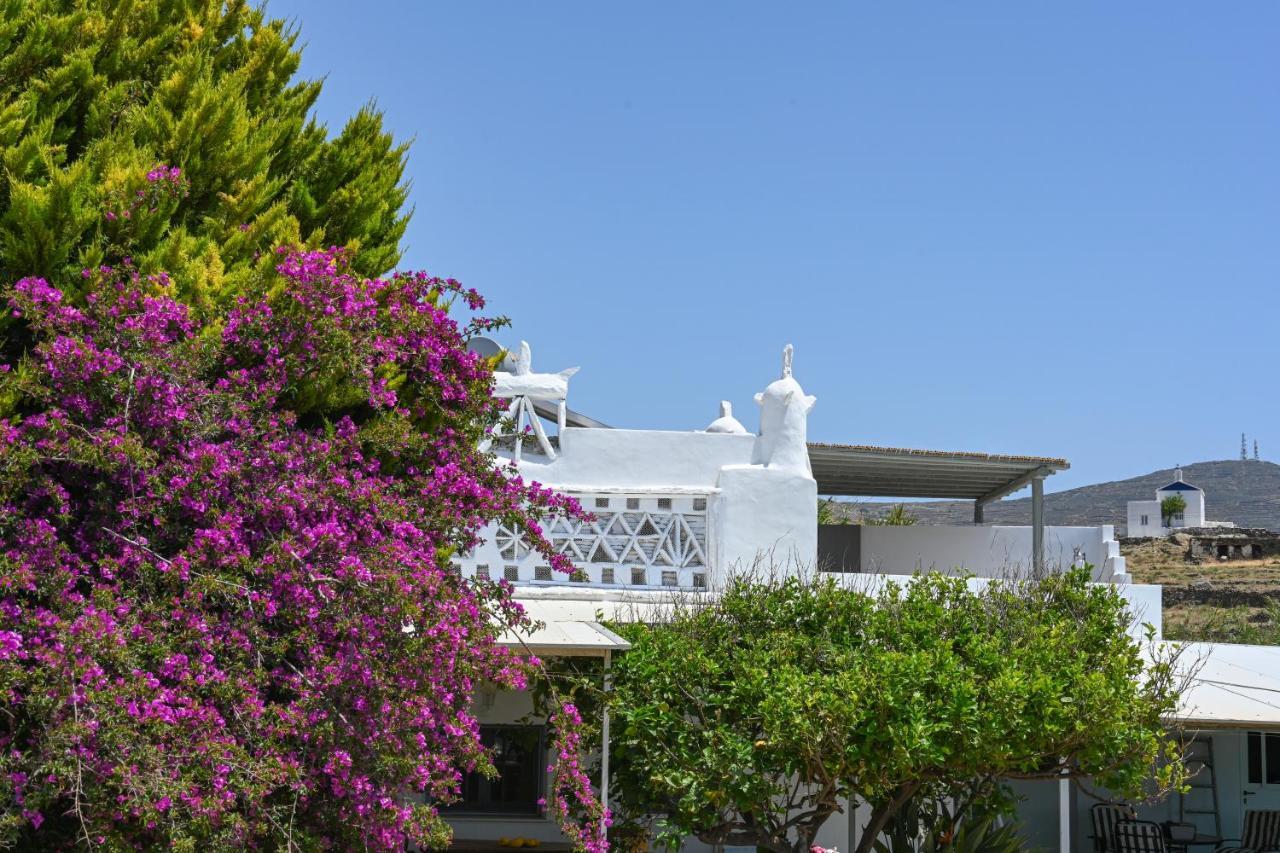 Kleris Apartments 8 Tínos 外观 照片